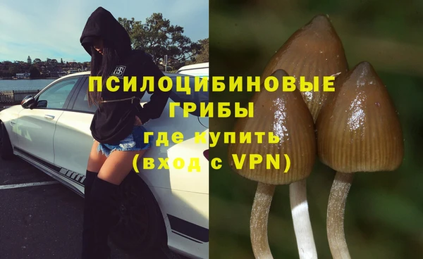дурь Алексин