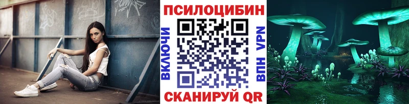 ссылка на мегу ONION даркнет сайт Кулебаки Псилоцибиновые грибы Psilocybine cubensis